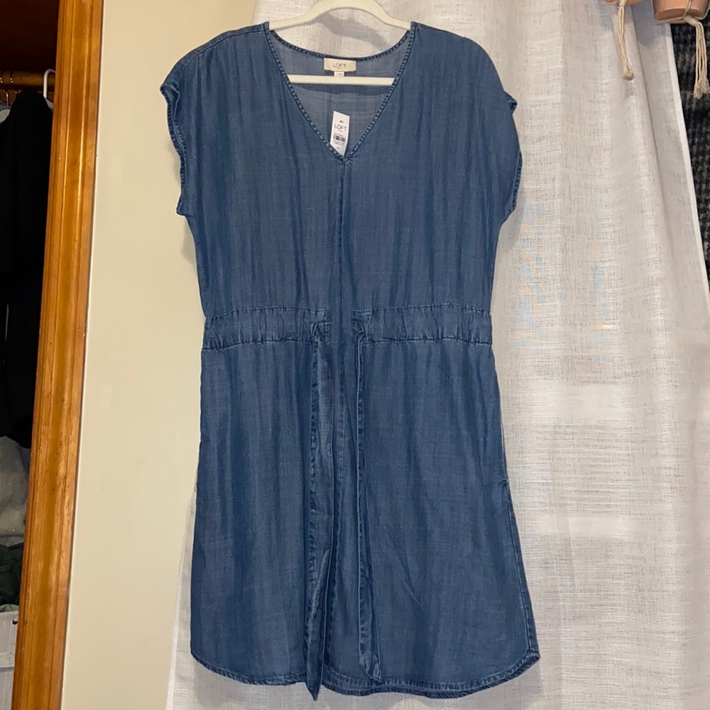 Loft Mini Dress